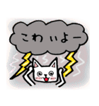 every day にゃんこ（個別スタンプ：34）