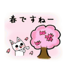 every day にゃんこ（個別スタンプ：37）