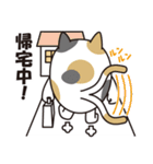 Cat戦隊猫レンジャー（個別スタンプ：29）