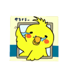 色とりどりの鳥（個別スタンプ：11）