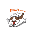 ほのぼの猫のにゃーちゃん（個別スタンプ：1）