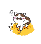 ほのぼの猫のにゃーちゃん（個別スタンプ：5）