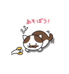 ほのぼの猫のにゃーちゃん（個別スタンプ：8）