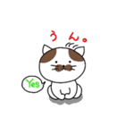 ほのぼの猫のにゃーちゃん（個別スタンプ：9）