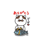 ほのぼの猫のにゃーちゃん（個別スタンプ：15）