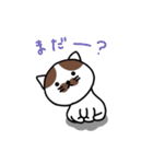 ほのぼの猫のにゃーちゃん（個別スタンプ：31）