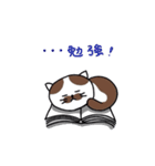 ほのぼの猫のにゃーちゃん（個別スタンプ：37）