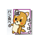 「犬かる」パート3（個別スタンプ：19）