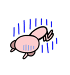 クマっぽいブタ（個別スタンプ：20）