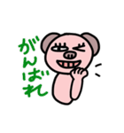 クマっぽいブタ（個別スタンプ：37）