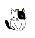 猫とカエルのまったり生活。（個別スタンプ：14）