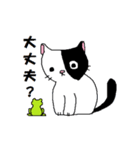 猫とカエルのまったり生活。（個別スタンプ：20）