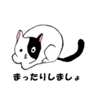 猫とカエルのまったり生活。（個別スタンプ：29）