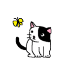 猫とカエルのまったり生活。（個別スタンプ：30）