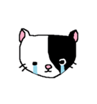 猫とカエルのまったり生活。（個別スタンプ：33）