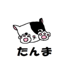 猫とカエルのまったり生活。（個別スタンプ：37）