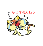 やさぐれブサ猫（個別スタンプ：13）