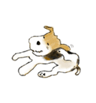 Fox Terrier（個別スタンプ：3）