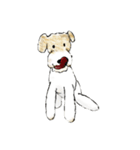 Fox Terrier（個別スタンプ：4）