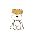 Fox Terrier（個別スタンプ：12）