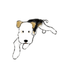 Fox Terrier（個別スタンプ：18）