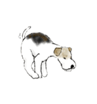 Fox Terrier（個別スタンプ：23）