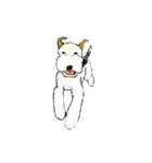 Fox Terrier（個別スタンプ：24）