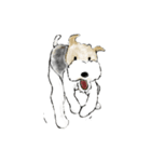 Fox Terrier（個別スタンプ：26）