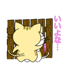 3匹の猫たち（個別スタンプ：11）