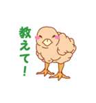 麻雀鳥（個別スタンプ：26）