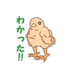 麻雀鳥（個別スタンプ：28）