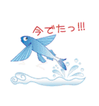 ANI9（個別スタンプ：16）
