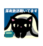 RADIO CAT（個別スタンプ：16）