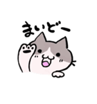 奇跡を起こすニャンコ☆（個別スタンプ：13）