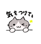 奇跡を起こすニャンコ☆（個別スタンプ：22）