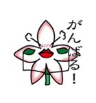ちょっと興奮気味なお花さんスタンプ（個別スタンプ：20）