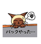 にゃんずらいふ2（テニス猫 ver.)（個別スタンプ：3）