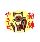にゃんずらいふ2（テニス猫 ver.)（個別スタンプ：5）