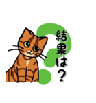 にゃんずらいふ2（テニス猫 ver.)（個別スタンプ：9）