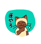 にゃんずらいふ2（テニス猫 ver.)（個別スタンプ：16）