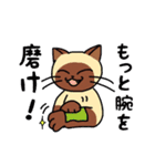 にゃんずらいふ2（テニス猫 ver.)（個別スタンプ：20）