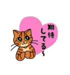 にゃんずらいふ2（テニス猫 ver.)（個別スタンプ：24）