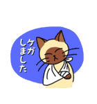にゃんずらいふ2（テニス猫 ver.)（個別スタンプ：27）