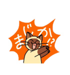 にゃんずらいふ2（テニス猫 ver.)（個別スタンプ：29）