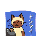 にゃんずらいふ2（テニス猫 ver.)（個別スタンプ：33）