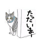 どうぶつのお話（個別スタンプ：13）