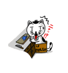 ニャン子とダンボール箱 2（個別スタンプ：1）