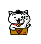 ニャン子とダンボール箱 2（個別スタンプ：3）