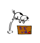ニャン子とダンボール箱 2（個別スタンプ：11）