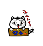 ニャン子とダンボール箱 2（個別スタンプ：16）